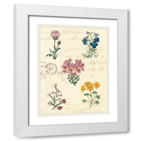 Botanical Journal I White Modern Wood Framed Art Print with Double Matting by Vision Studio