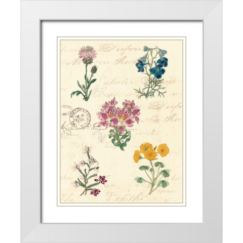 Botanical Journal I White Modern Wood Framed Art Print with Double Matting by Vision Studio