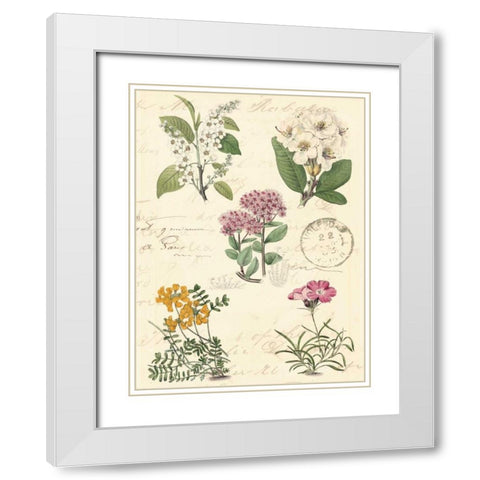 Botanical Journal II White Modern Wood Framed Art Print with Double Matting by Vision Studio