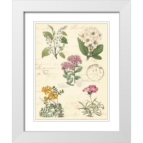 Botanical Journal II White Modern Wood Framed Art Print with Double Matting by Vision Studio