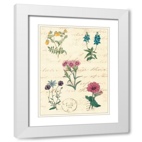 Botanical Journal III White Modern Wood Framed Art Print with Double Matting by Vision Studio