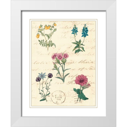 Botanical Journal III White Modern Wood Framed Art Print with Double Matting by Vision Studio