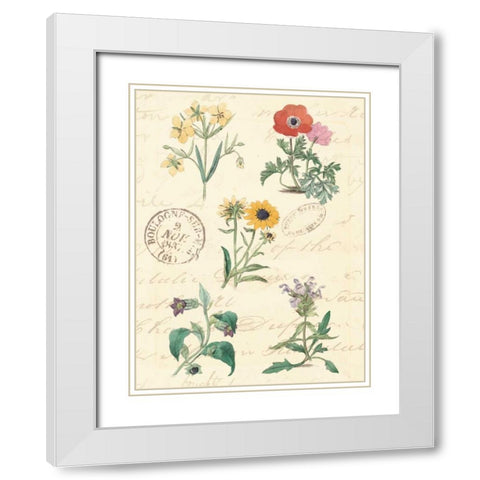 Botanical Journal IV White Modern Wood Framed Art Print with Double Matting by Vision Studio