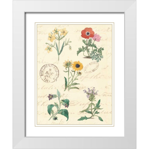 Botanical Journal IV White Modern Wood Framed Art Print with Double Matting by Vision Studio