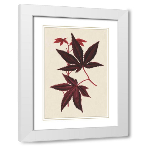 Japanese Maple Leaves I White Modern Wood Framed Art Print with Double Matting by Stroobant