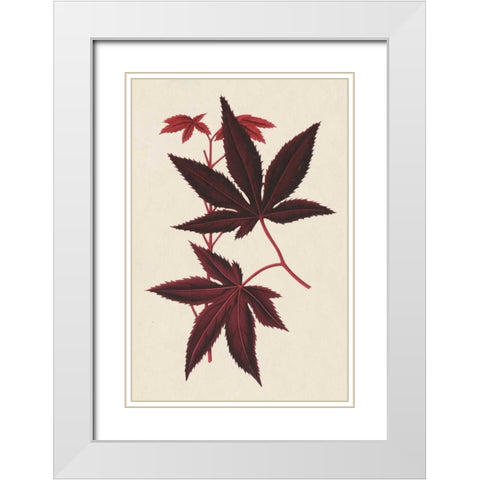 Japanese Maple Leaves I White Modern Wood Framed Art Print with Double Matting by Stroobant