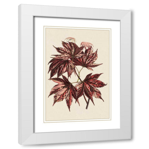 Japanese Maple Leaves II White Modern Wood Framed Art Print with Double Matting by Stroobant