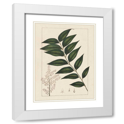 Silva Leaves III White Modern Wood Framed Art Print with Double Matting by Silva, John