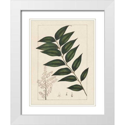 Silva Leaves III White Modern Wood Framed Art Print with Double Matting by Silva, John