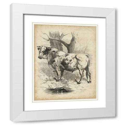 Pastoral Sketch II White Modern Wood Framed Art Print with Double Matting by Unknown
