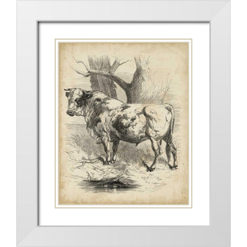 Pastoral Sketch II White Modern Wood Framed Art Print with Double Matting by Unknown