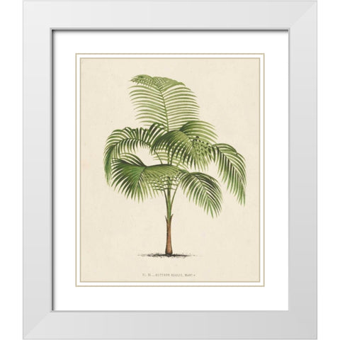 Les Palmiers I White Modern Wood Framed Art Print with Double Matting by Unknown