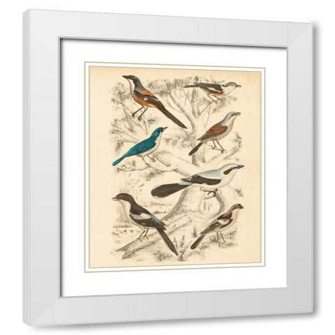 Avian Habitat V White Modern Wood Framed Art Print with Double Matting by Milne