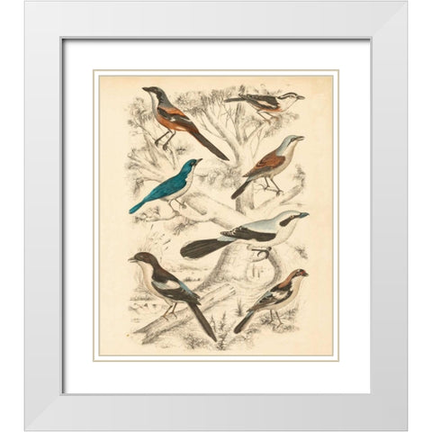 Avian Habitat V White Modern Wood Framed Art Print with Double Matting by Milne