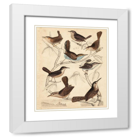 Avian Habitat VI White Modern Wood Framed Art Print with Double Matting by Milne