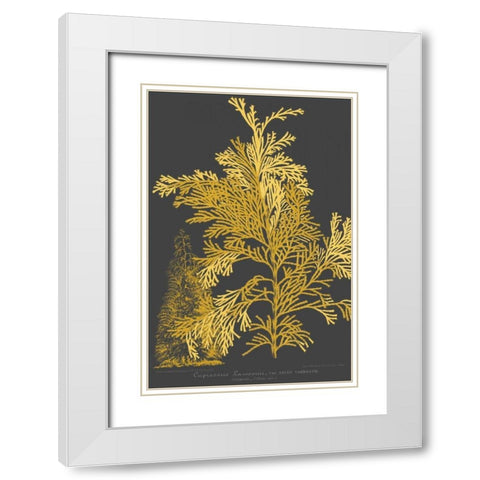 Trees and Leaves I White Modern Wood Framed Art Print with Double Matting by Vision Studio