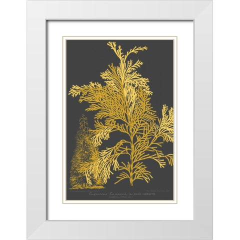 Trees and Leaves I White Modern Wood Framed Art Print with Double Matting by Vision Studio