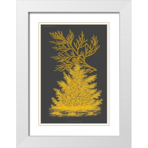 Trees and Leaves II White Modern Wood Framed Art Print with Double Matting by Vision Studio
