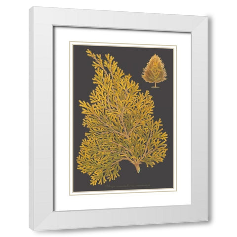 Trees and Leaves III White Modern Wood Framed Art Print with Double Matting by Vision Studio