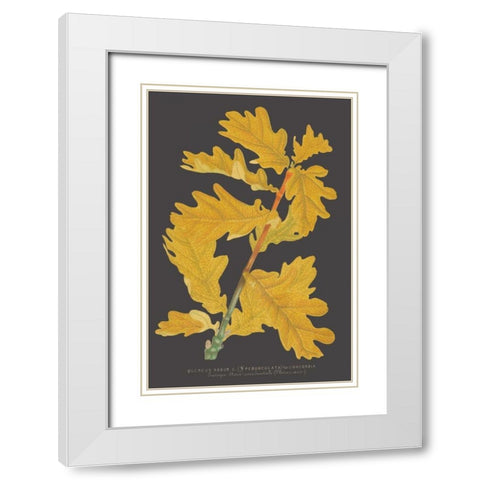 Trees and Leaves IV White Modern Wood Framed Art Print with Double Matting by Vision Studio