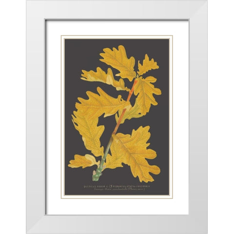 Trees and Leaves IV White Modern Wood Framed Art Print with Double Matting by Vision Studio