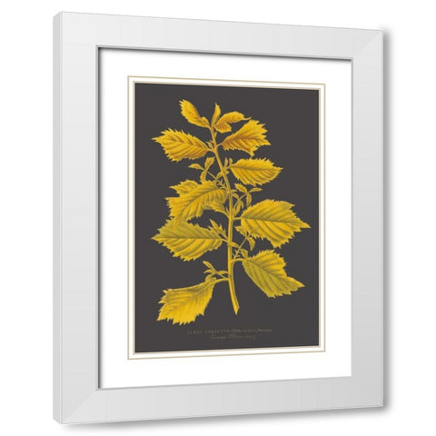 Trees and Leaves V White Modern Wood Framed Art Print with Double Matting by Vision Studio