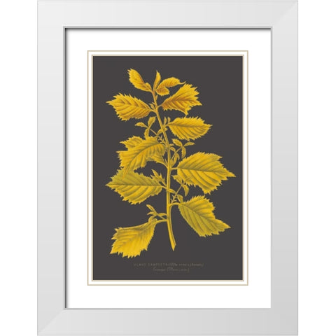 Trees and Leaves V White Modern Wood Framed Art Print with Double Matting by Vision Studio