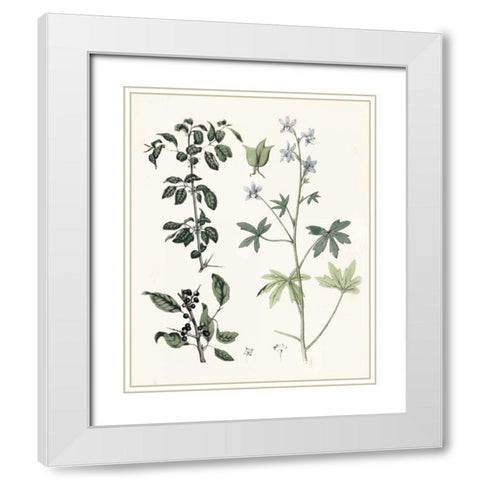 Berge Botanicals IV White Modern Wood Framed Art Print with Double Matting by Berge