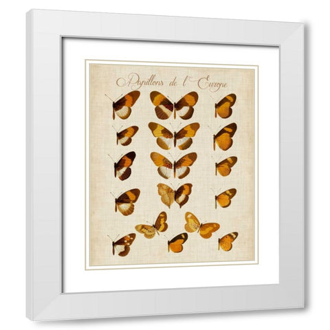 Papillons de LEurope I White Modern Wood Framed Art Print with Double Matting by Vision Studio