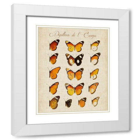 Papillons de LEurope II White Modern Wood Framed Art Print with Double Matting by Vision Studio