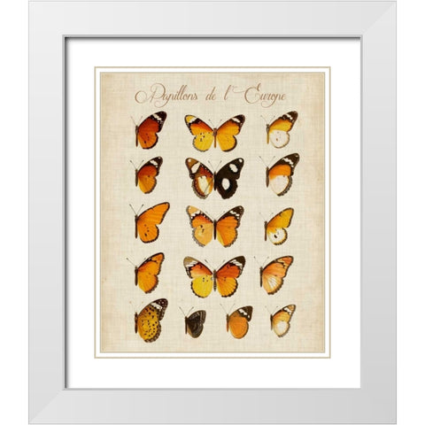 Papillons de LEurope II White Modern Wood Framed Art Print with Double Matting by Vision Studio