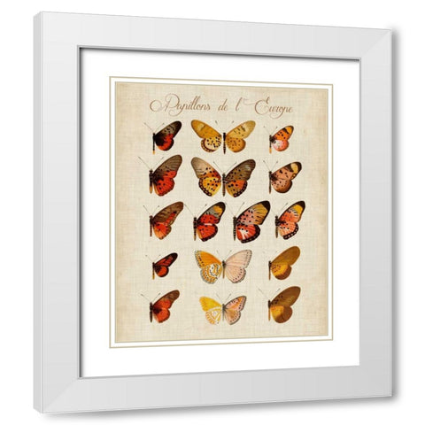 Papillons de LEurope III White Modern Wood Framed Art Print with Double Matting by Vision Studio