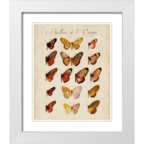 Papillons de LEurope III White Modern Wood Framed Art Print with Double Matting by Vision Studio
