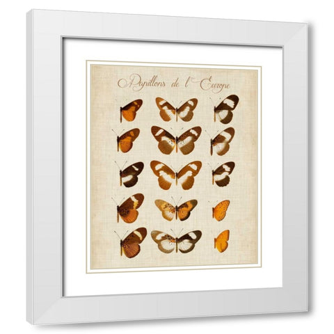 Papillons de LEurope IV White Modern Wood Framed Art Print with Double Matting by Vision Studio