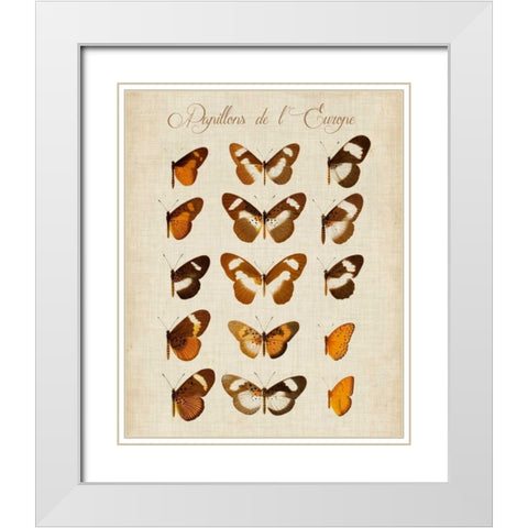 Papillons de LEurope IV White Modern Wood Framed Art Print with Double Matting by Vision Studio