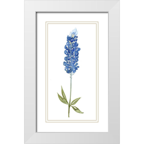 Blue Bonnets I (ASH) White Modern Wood Framed Art Print with Double Matting by Popp, Grace