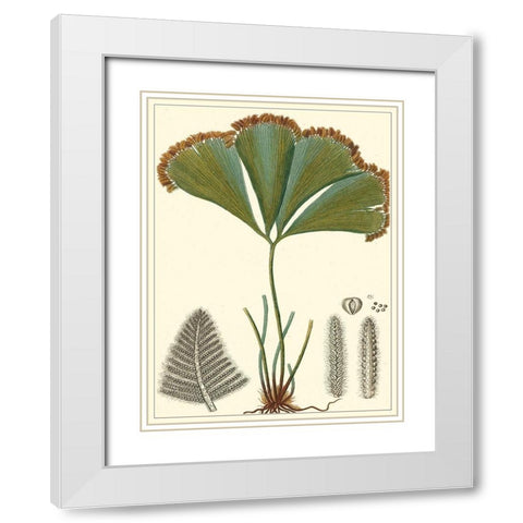 Small Foliage Botanique I White Modern Wood Framed Art Print with Double Matting by Turpin