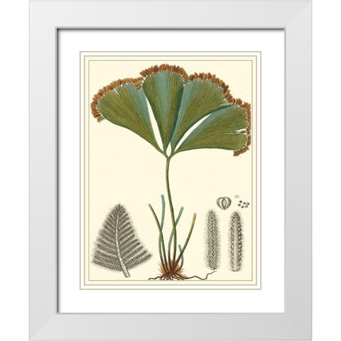 Small Foliage Botanique I White Modern Wood Framed Art Print with Double Matting by Turpin