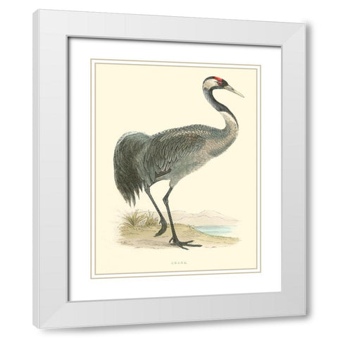 Small Morris Crane I White Modern Wood Framed Art Print with Double Matting by Morris