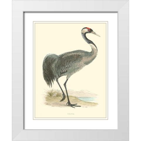 Small Morris Crane I White Modern Wood Framed Art Print with Double Matting by Morris