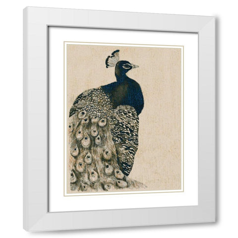 Textured Peacock I White Modern Wood Framed Art Print with Double Matting by Popp, Grace