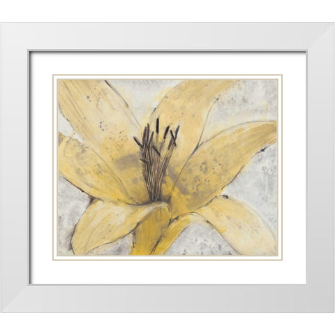 Transparency Flower I White Modern Wood Framed Art Print with Double Matting by OToole, Tim