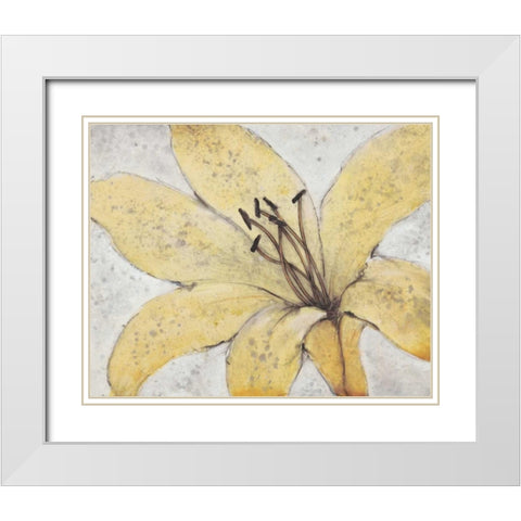Transparency Flower II White Modern Wood Framed Art Print with Double Matting by OToole, Tim