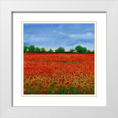 Field of Poppies I White Modern Wood Framed Art Print with Double Matting by OToole, Tim