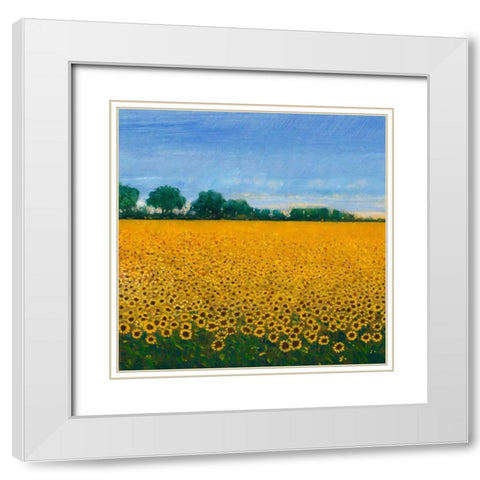 Field of Sunflowers I White Modern Wood Framed Art Print with Double Matting by OToole, Tim