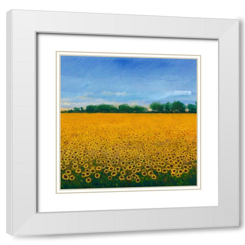 Field of Sunflowers II White Modern Wood Framed Art Print with Double Matting by OToole, Tim