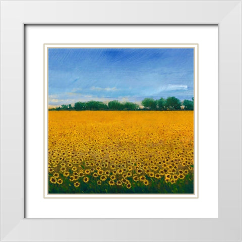 Field of Sunflowers II White Modern Wood Framed Art Print with Double Matting by OToole, Tim