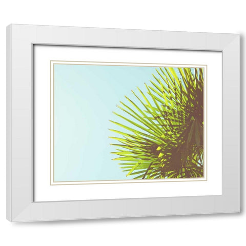 Sunny Palms II White Modern Wood Framed Art Print with Double Matting by Quintero, Sonja