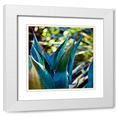 Succulent Vibes I White Modern Wood Framed Art Print with Double Matting by Quintero, Sonja