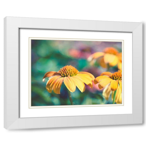 Mellow Yellows II White Modern Wood Framed Art Print with Double Matting by Quintero, Sonja